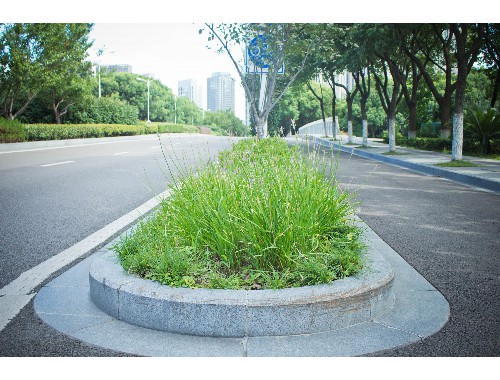 昆山市园林绿化办公室